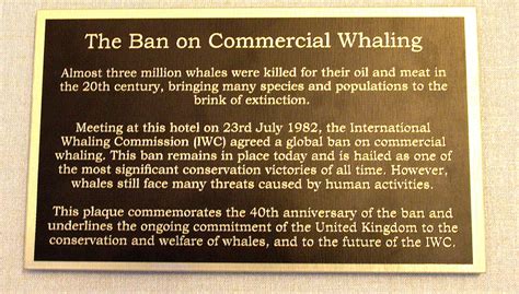 iwc whaling ban